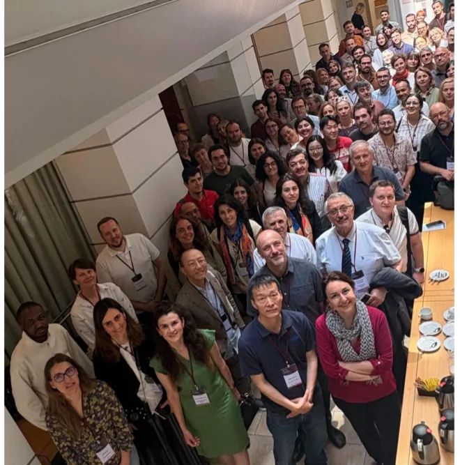 Net4Brain: A Comprehensive Network Against Brain Cancer