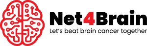 Net4Brain logo